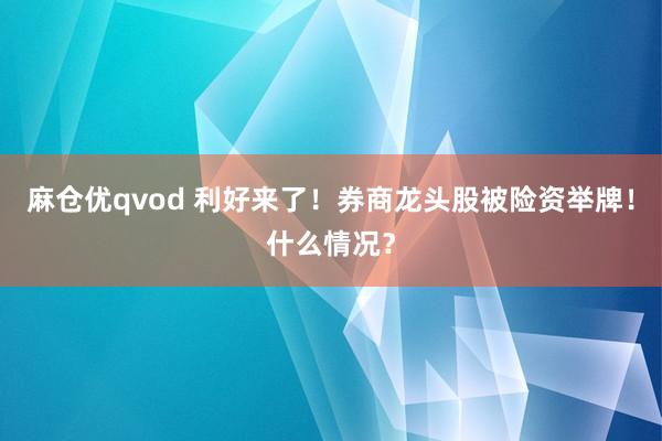 麻仓优qvod 利好来了！券商龙头股被险资举牌！什么情况？