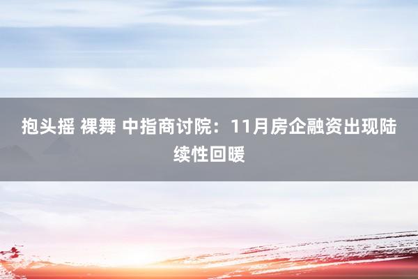 抱头摇 裸舞 中指商讨院：11月房企融资出现陆续性回暖