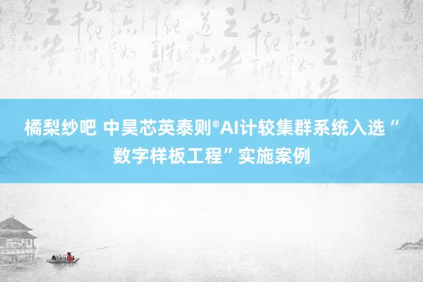 橘梨纱吧 中昊芯英泰则®AI计较集群系统入选“数字样板工程”实施案例