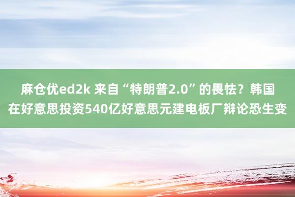 麻仓优ed2k 来自“特朗普2.0”的畏怯？韩国在好意思投资540亿好意思元建电板厂辩论恐生变