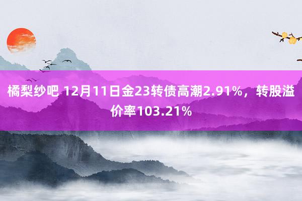 橘梨纱吧 12月11日金23转债高潮2.91%，转股溢价率103.21%