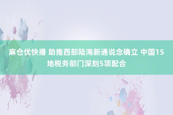 麻仓优快播 助推西部陆海新通说念确立 中国15地税务部门深刻5项配合