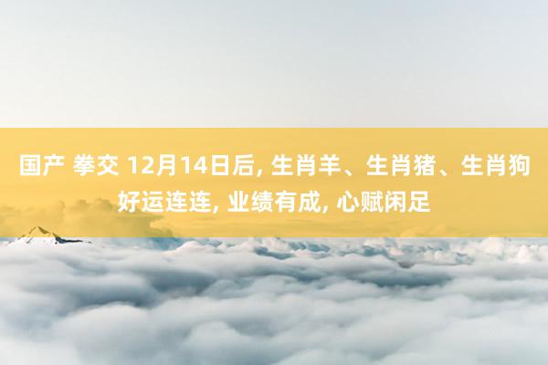 国产 拳交 12月14日后， 生肖羊、生肖猪、生肖狗好运连连， 业绩有成， 心赋闲足