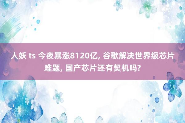 人妖 ts 今夜暴涨8120亿， 谷歌解决世界级芯片难题， 国产芯片还有契机吗?