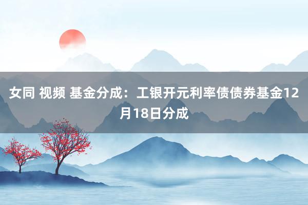 女同 视频 基金分成：工银开元利率债债券基金12月18日分成