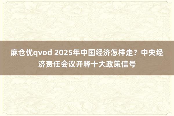 麻仓优qvod 2025年中国经济怎样走？中央经济责任会议开释十大政策信号