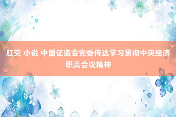 肛交 小说 中国证监会党委传达学习贯彻中央经济职责会议精神