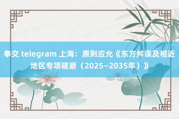 拳交 telegram 上海：原则应允《东方舛误及相近地区专项磋磨（2025—2035年）》