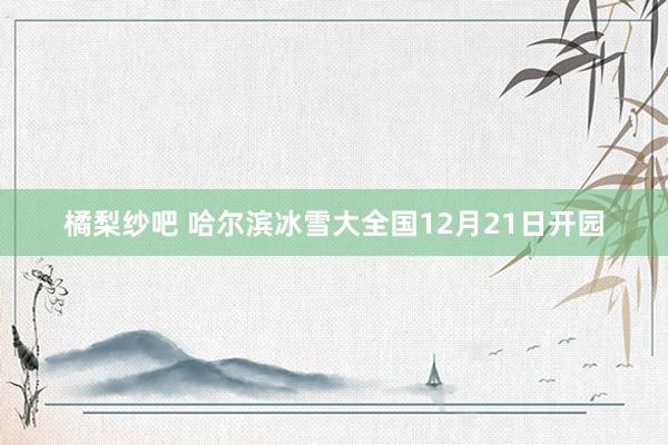 橘梨纱吧 哈尔滨冰雪大全国12月21日开园