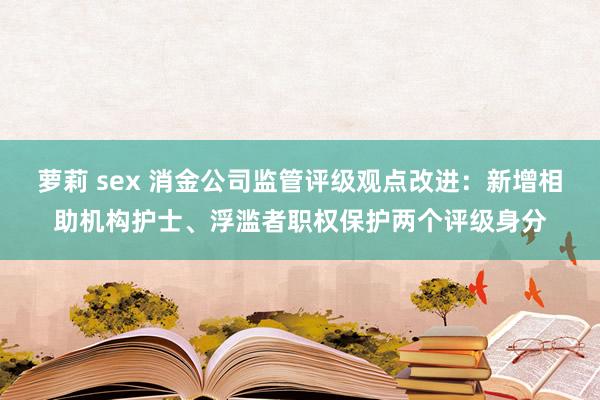 萝莉 sex 消金公司监管评级观点改进：新增相助机构护士、浮滥者职权保护两个评级身分