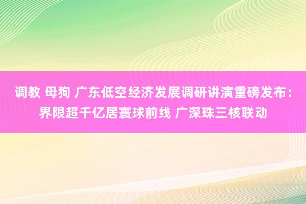 调教 母狗 广东低空经济发展调研讲演重磅发布：界限超千亿居寰球前线 广深珠三核联动