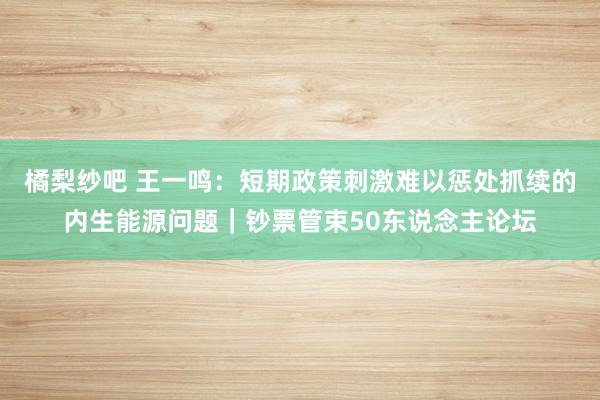 橘梨纱吧 王一鸣：短期政策刺激难以惩处抓续的内生能源问题｜钞票管束50东说念主论坛