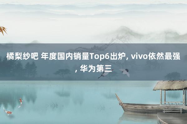 橘梨纱吧 年度国内销量Top6出炉， vivo依然最强， 华为第三