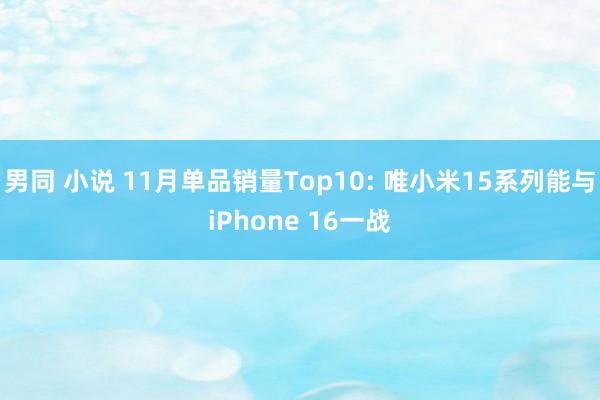 男同 小说 11月单品销量Top10: 唯小米15系列能与iPhone 16一战