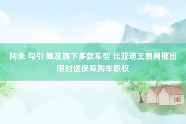 阿朱 勾引 触及旗下多款车型 比亚迪王朝网推出限时送保障购车职权