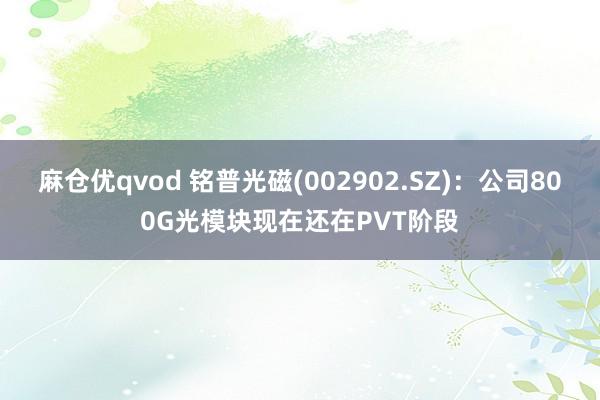 麻仓优qvod 铭普光磁(002902.SZ)：公司800G光模块现在还在PVT阶段