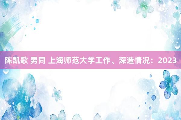 陈凯歌 男同 上海师范大学工作、深造情况：2023