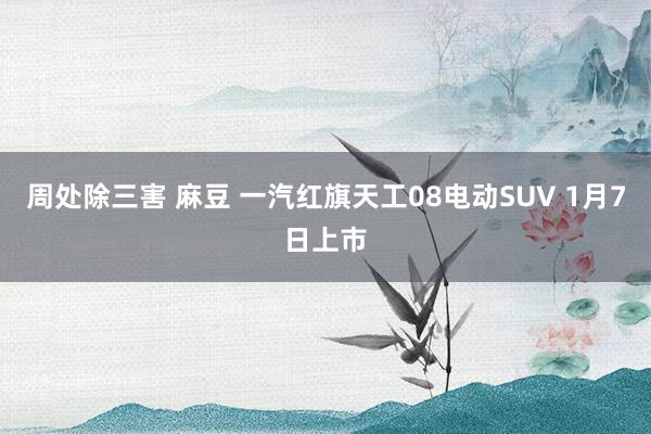 周处除三害 麻豆 一汽红旗天工08电动SUV 1月7日上市