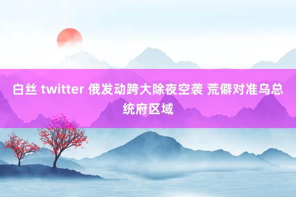 白丝 twitter 俄发动跨大除夜空袭 荒僻对准乌总统府区域