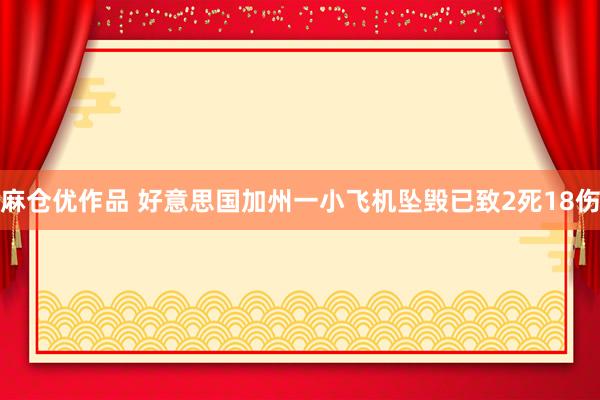 麻仓优作品 好意思国加州一小飞机坠毁已致2死18伤