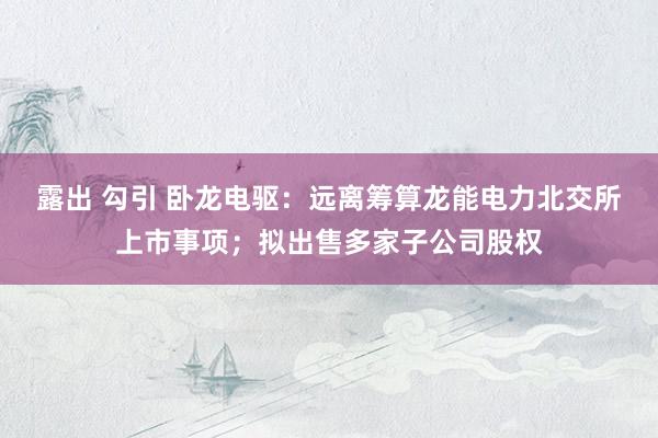 露出 勾引 卧龙电驱：远离筹算龙能电力北交所上市事项；拟出售多家子公司股权