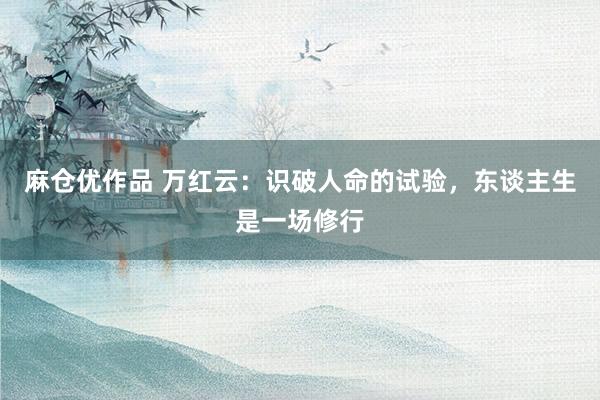 麻仓优作品 万红云：识破人命的试验，东谈主生是一场修行