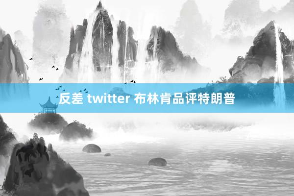 反差 twitter 布林肯品评特朗普