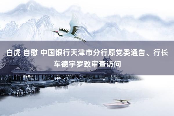 白虎 自慰 中国银行天津市分行原党委通告、行长车德宇罗致审查访问