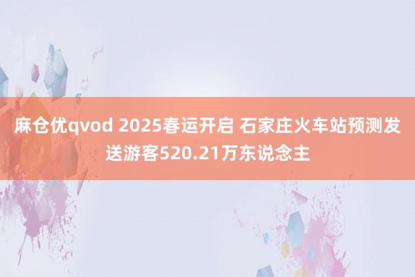 麻仓优qvod 2025春运开启 石家庄火车站预测发送游客520.21万东说念主