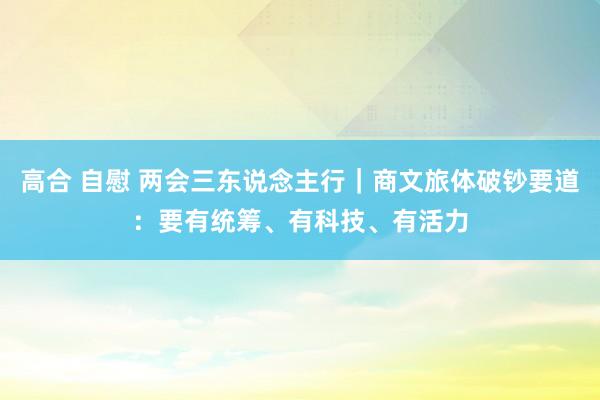 高合 自慰 两会三东说念主行｜商文旅体破钞要道：要有统筹、有科技、有活力